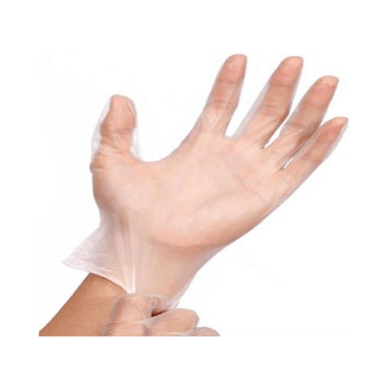 Latex Free Vinyl Gloves 12 Pack