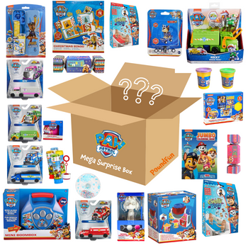 Paw Patrol Mega Surprise Box