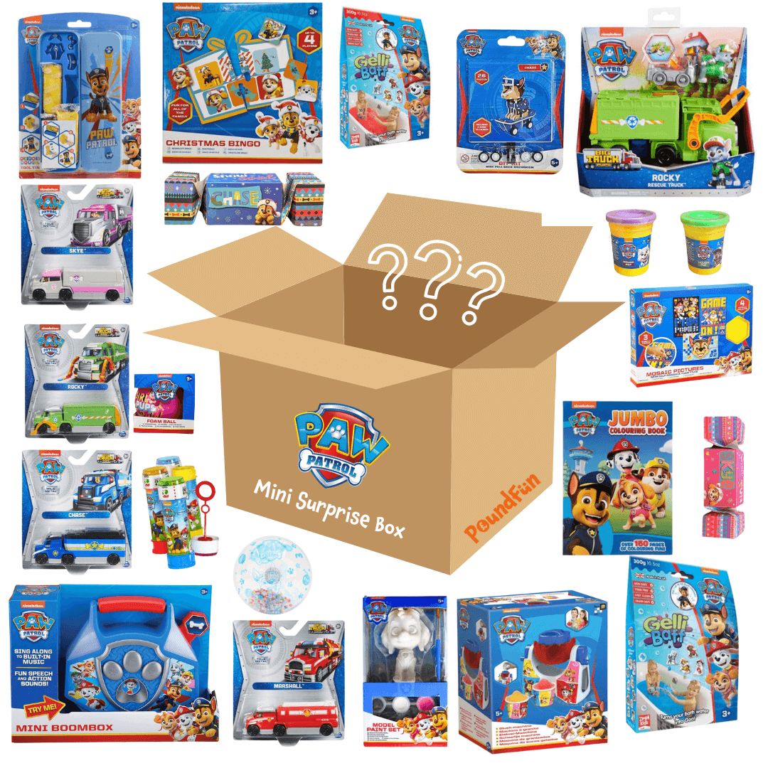 Paw Patrol Mini Surprise Box