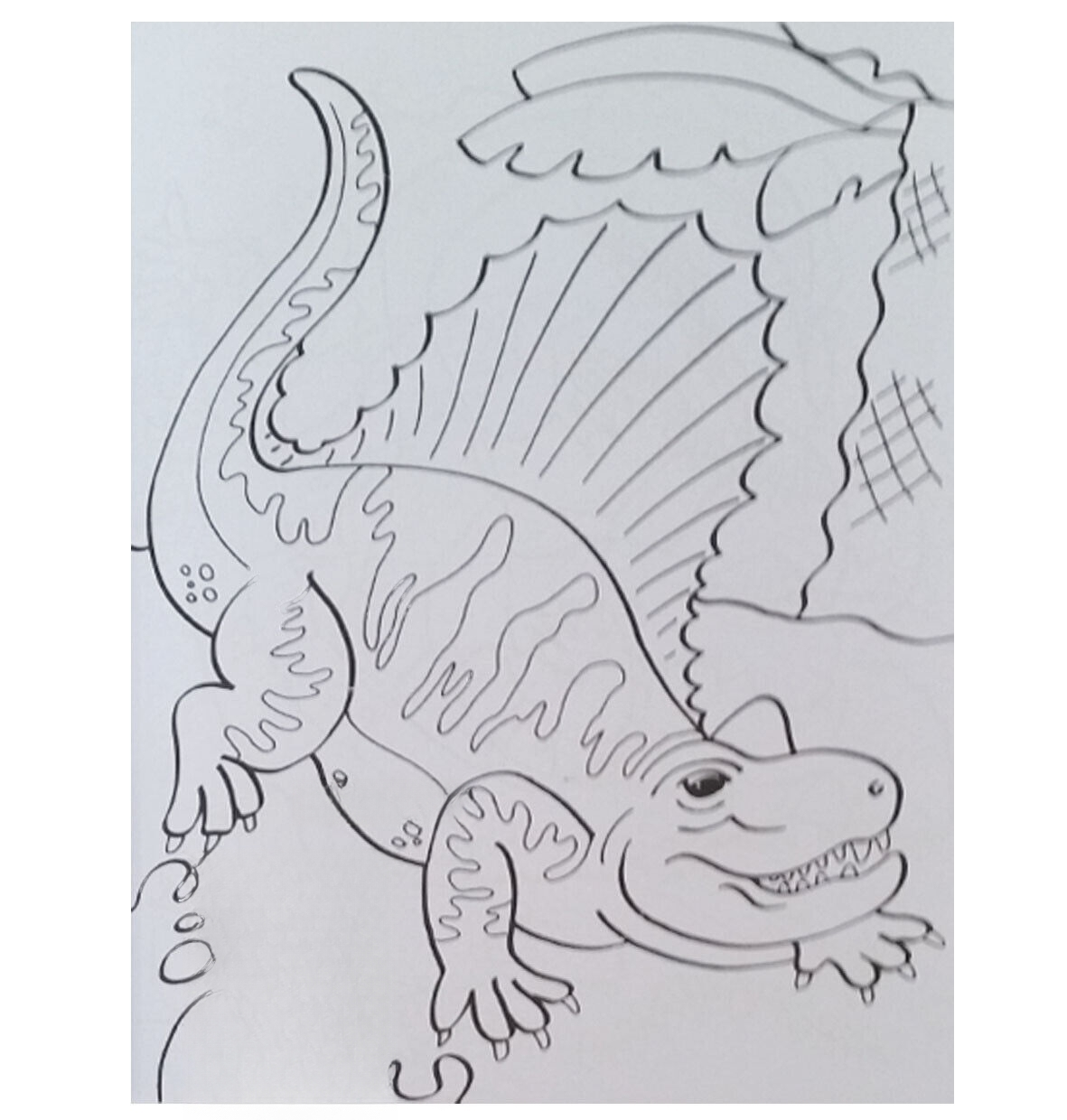 Dinosaur Colouring Book