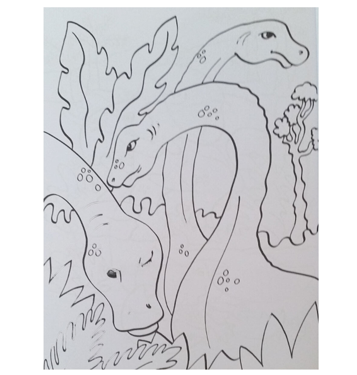 Dinosaur Colouring Book